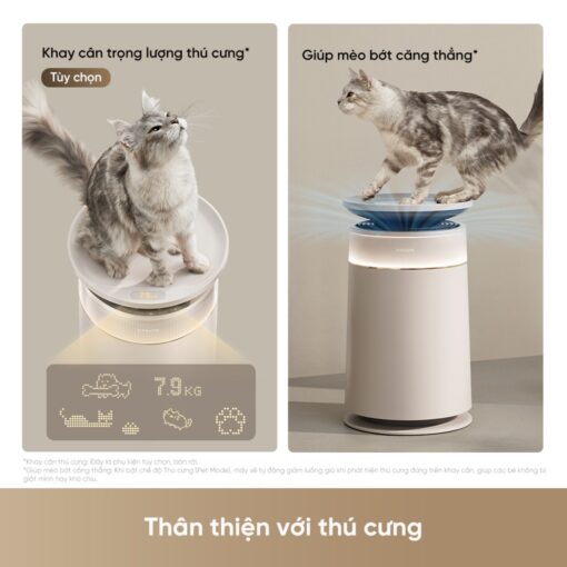 Máy lọc không khí Dreame FP10