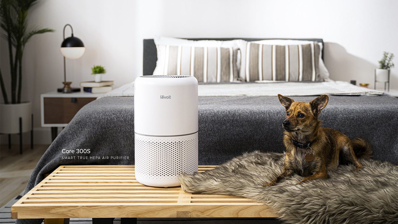 Banner giới thiệu Levoit Core 300S