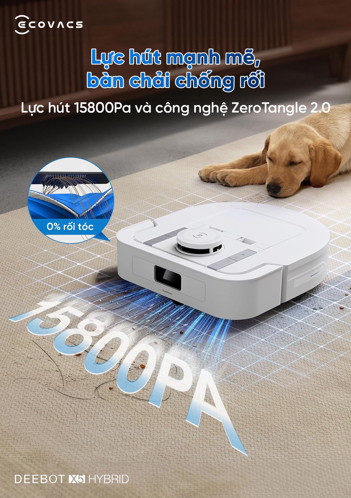 Robot hút bụi Ecovacs X5 Hybrid
