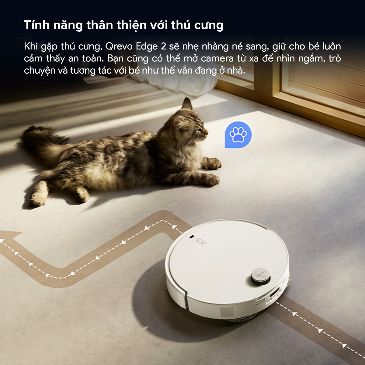 Robot hút bụi Roborock Qrevo Edge 2