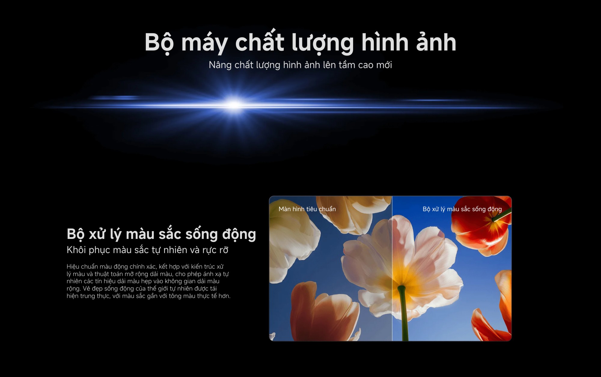 Xiaomi TV S Mini LED 55 2026 | 55 Inch – QD-Mini LED – 4K/60Hz – 2GB/32GB