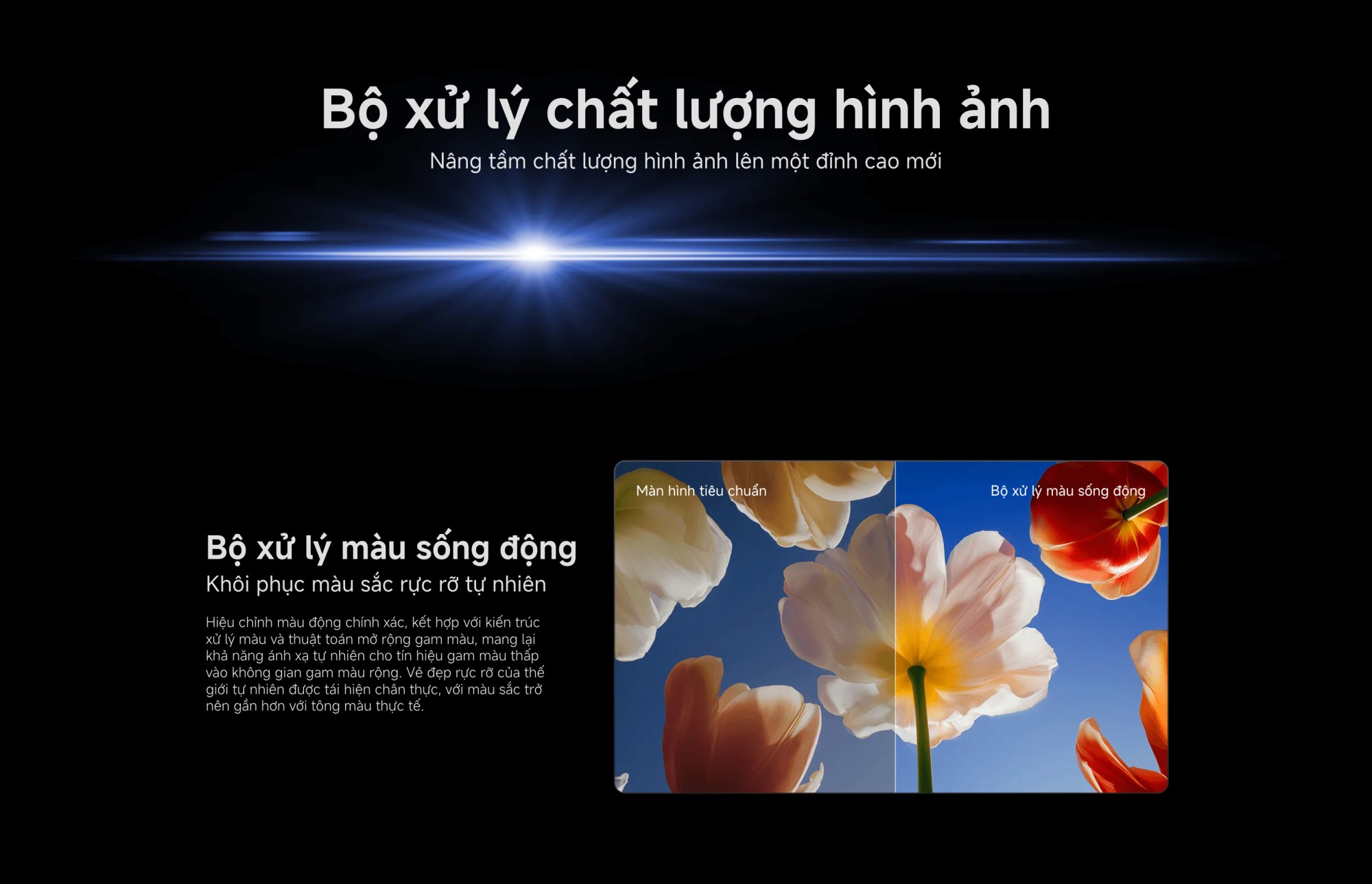 Xiaomi TV S Mini LED 75 2026 | 75 Inch – QD-Mini LED – 4K/60Hz – 2GB/32GB