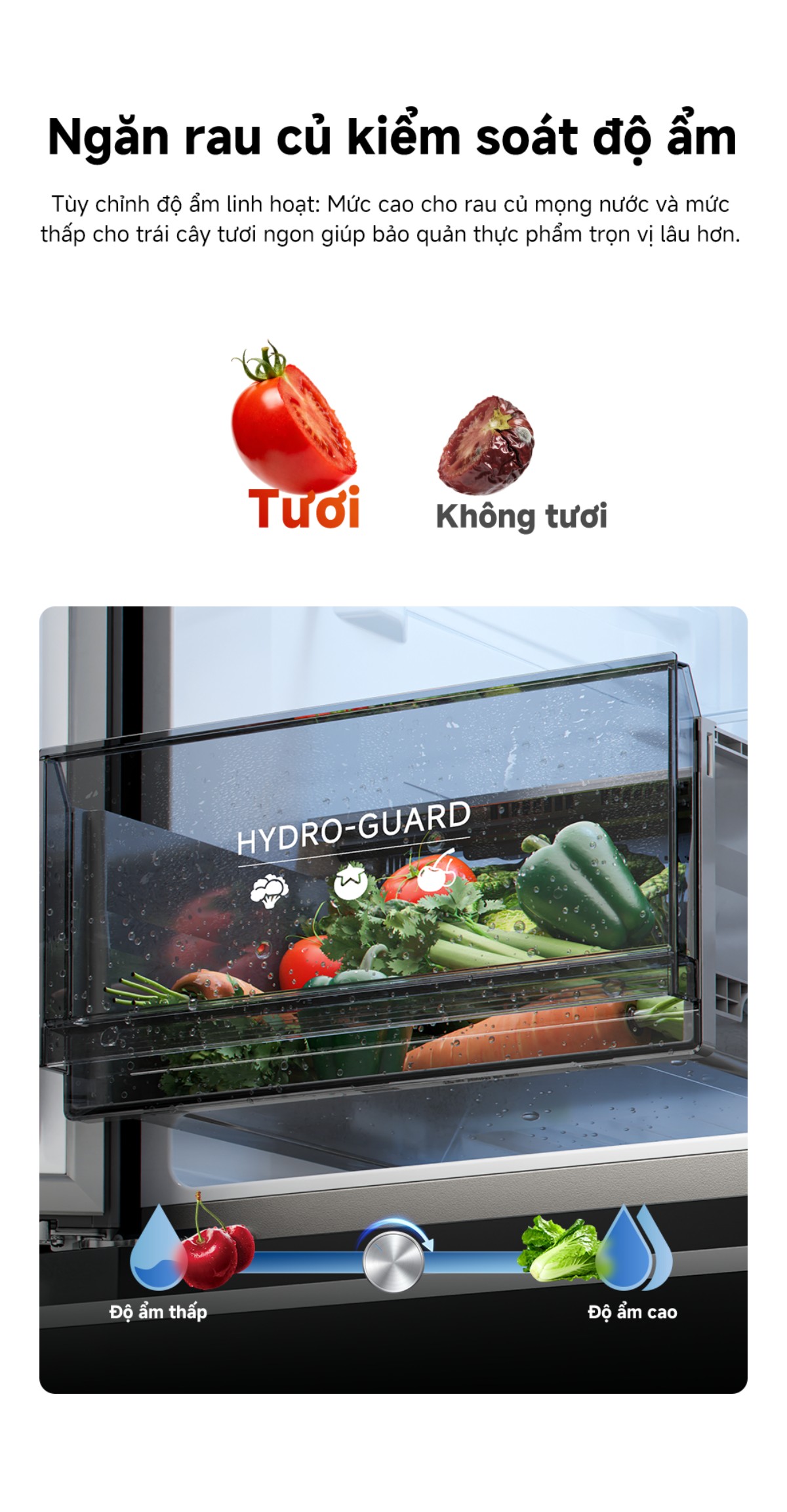 Tủ lạnh Dreame C-Fresh 600L