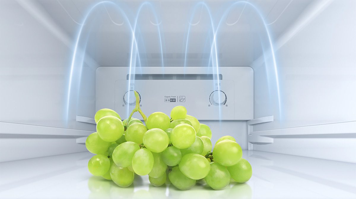 Tủ lạnh Xiaomi Mijia 186L